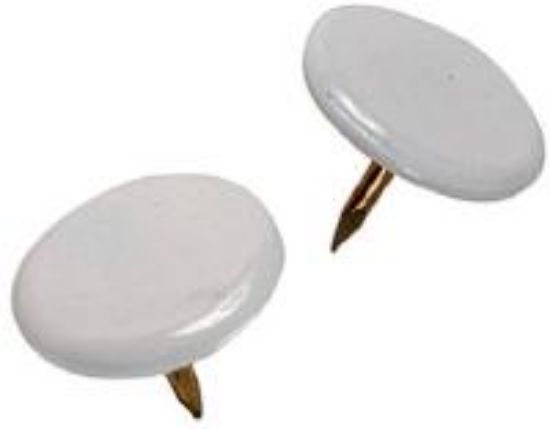 Picture of Thumb-Tack White