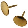 Picture of Thumb-Tack Brass-Plated