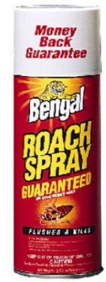 Picture of Insecticide Roach-spray