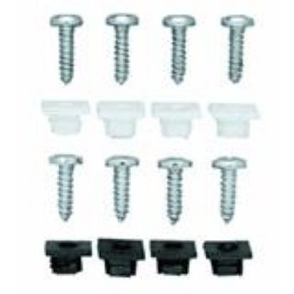 Picture of License-Plate Fasteners