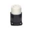 Picture of Electrical-Connector 15-Amp L5-15R