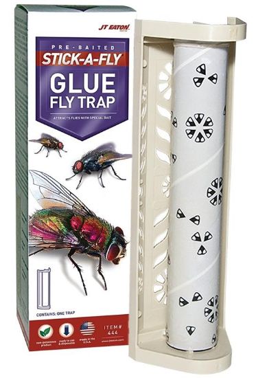 Picture of Glue-Trap Fly