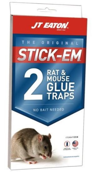 Picture of Glue-Trap Rat-&-mouse
