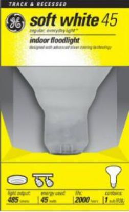 Picture of Miser Flood-Light