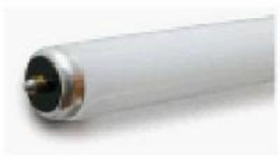 Picture of Light-Bulb 55W 72"