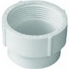 Picture of PVC-Plumbing Schedule-40 Drain-Waste-Vent Cleanout-adapter S X Fpt 3"