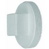 Picture of PVC-Plumbing Schedule-40 Drain-Waste-Vent Mpt Plug 1-1/2"