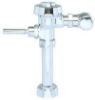 Picture of Royal 110 3.5 Flushometer