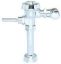 Picture of Royal 110 3.5 Flushometer