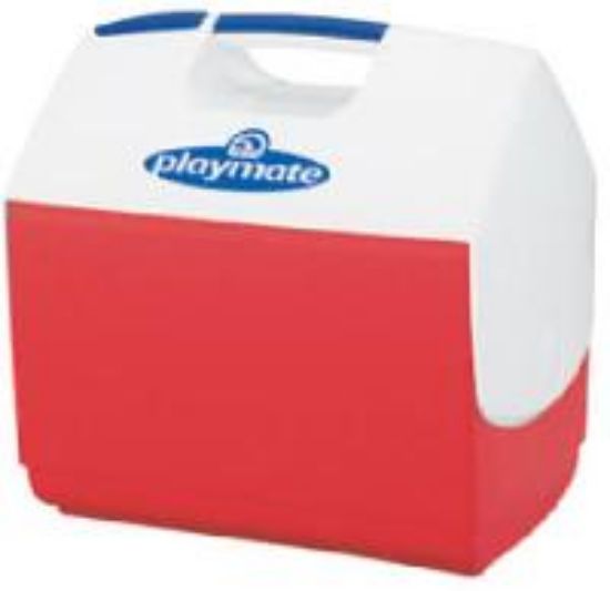 Picture of Insulated-cooler