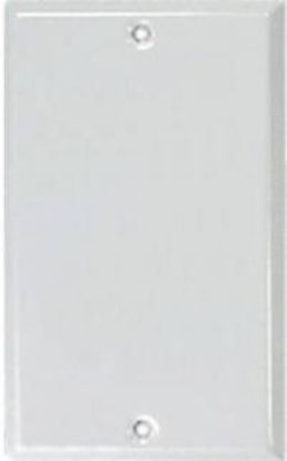 Picture of Wall-Plate Blank