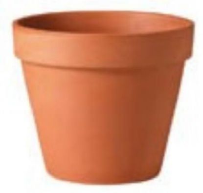 Picture of Plant-Pot Terra-Cotta Standard 12"