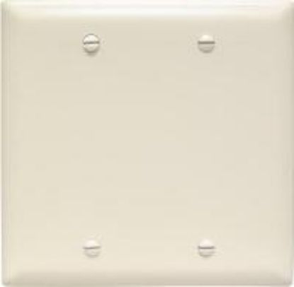 Picture of Blank Nylon Midsize Wall-Plate