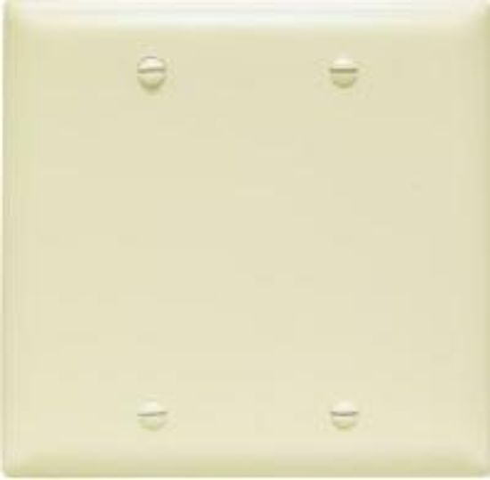 Picture of Blank Midsize Nylon Wall-Plate