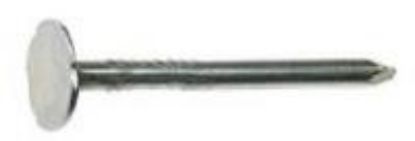 Picture of Roofing-Nail Electro Galvanized Steel 11 Gauge 1-1/4" Lb