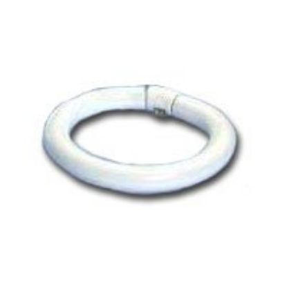 Picture of Light-Bulb Circline Fluorescent F8t8/cw 24