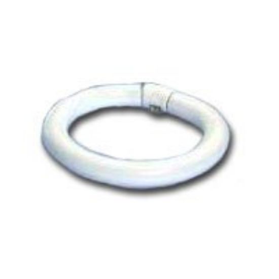 Picture of Light-Bulb Circline Fluorescent F8t8/cw 24