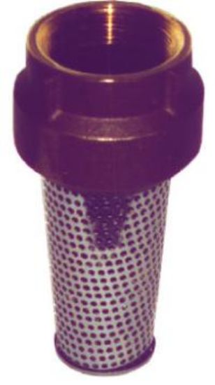 Picture of 1" Bronze Foot-Valve