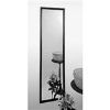 Picture of 14 x 50 Walnut Door Mirror
