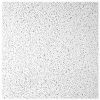 Picture of Ceiling-Tile 2' X 4' Plateau