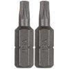 Picture of Torx TX25 Screwdriver-Bit