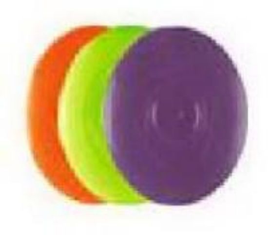 Picture of Freestyle 160 Frisbee