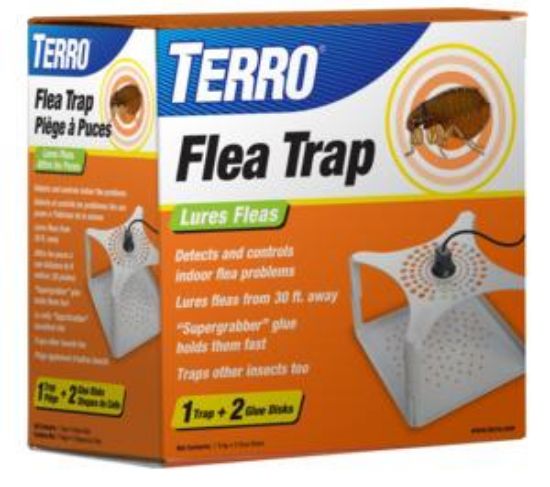 Picture of Flea-trap