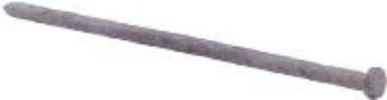 Picture of Galvanized-Steel Spike Nails Smooth 10"