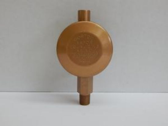 Picture of Steam-Valve Air-Vent C 1/8" Vertical Vapor-Equalizing