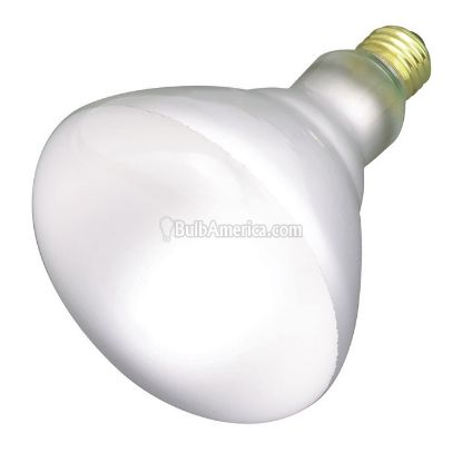Picture of Light-Bulb BR-40 Flood