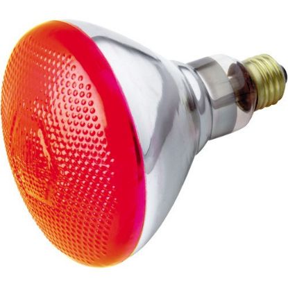 Picture of Light-Bulb BR38 Red