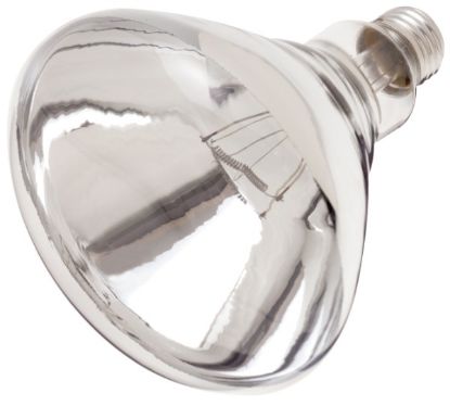 Picture of 250R40/1/TF Light-Bulb Teflon-Coated Clear