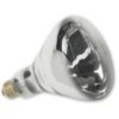 Picture of Light-Bulb R-40 Reflector Infrared Heat-lamp