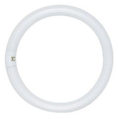 Picture of Light-Bulb Fc8t9/ww Circline T-9 22-watt 8"-diameter
