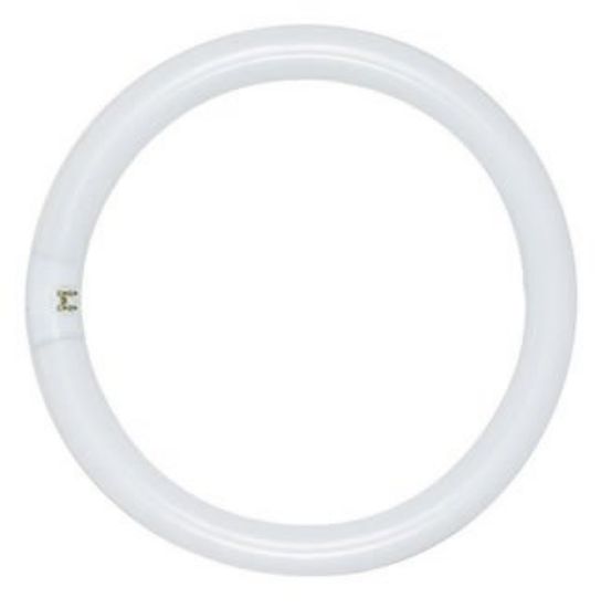 Picture of Light-Bulb Fc8t9/ww Circline T-9 22-watt 8"-diameter