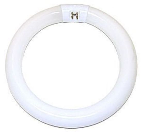 Picture of Light-Bulb Circline Fc12t9/d 12"