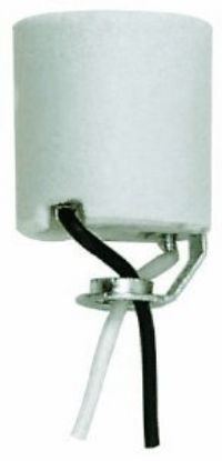 Picture of Porcelain Socket 10" Leads 1/8IP Hickey