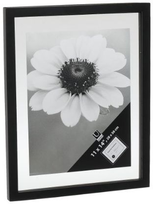 Picture of Document Picture-Frame Black 11" x 14"