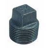 Picture of Pipe-Plug Black-malleable Cored Square-head 3/4"