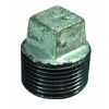 Picture of Galvanized Steel Cored-Plug Square-Head 1-1/2"