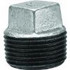 Picture of Galvanized Steel Cored-Plug Square-Head 1-1/2"