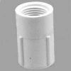 Picture of PVC-Plumbing Schedule-40 Coupling F x F 3/4"