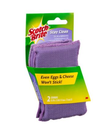 Picture of 202 Clean Rinse Scrubber 4.5 In X 2.7 In X .6 In