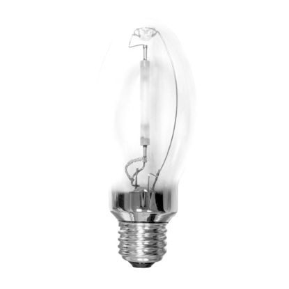 Picture of Light-Bulb Medium