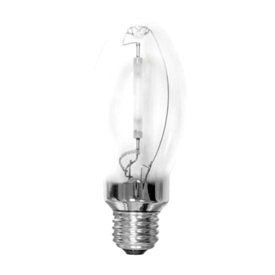 Picture of Light-Bulb Medium