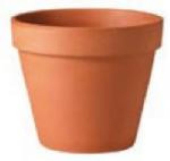 Picture of Plant-Pot Terra-Cotta Standard Terra-Cotta 6"