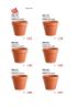 Picture of 10" Terra-Cotta Standard Terra-Cotta Planter-Pot