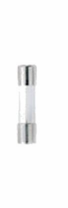 Picture of 5A Christmas Glass-Fuse