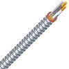 Picture of ACT Steel Armored-Cable