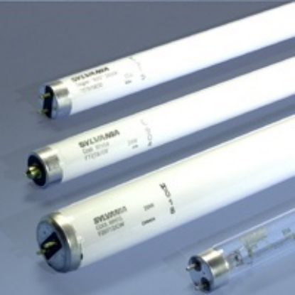 Picture of F20t12 Daylight Fluorescent